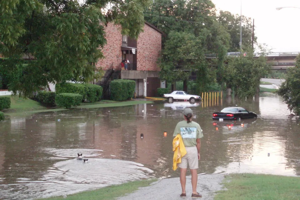 Person stands on sidewalk looking at flooded street in Houston, Texas with one car submerged in street and two dogs swimming across.